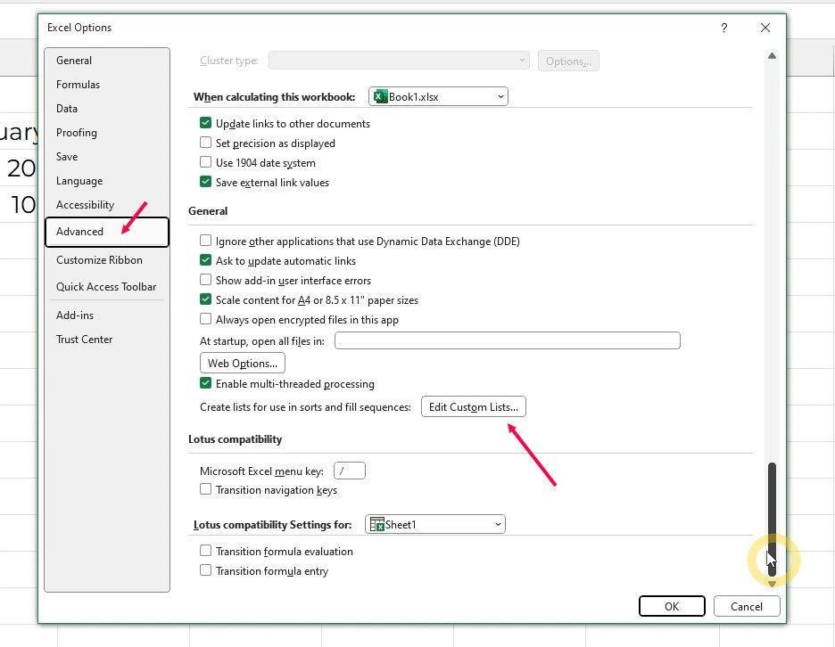 Jendela Excel Options buka Edit Custom Lists | Excel untuk pemula | belajarkomputer.org